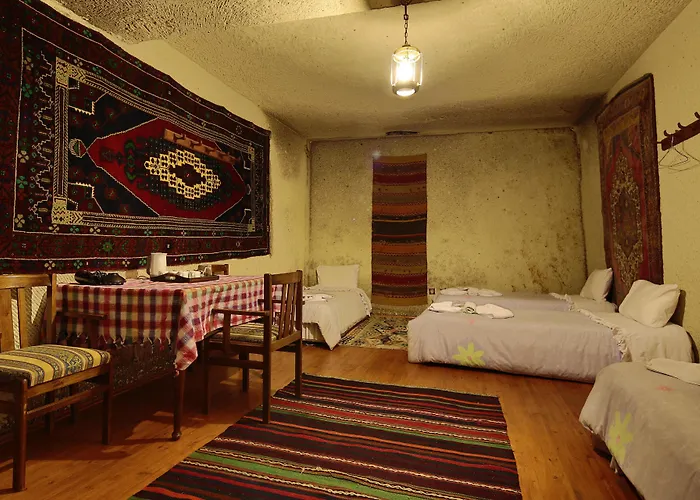 Cave Saksagan מלון